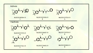 Arnold Group at UWM-Publications: Thyroid Receptor-Methylsulfonylnitrobenzoates